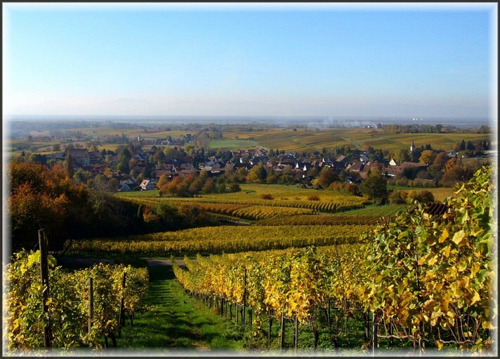Laufen im herbst Weindorf Laufen
