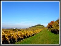 Herbst20055.jpg