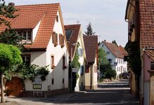 Wolf-Grether-skal.jpg